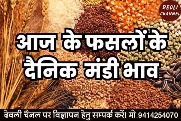 कृषि उपज मंडी में 15 मार्च को विभिन्न फसलों के भाव कृषि उपज मंडी में 15 मार्च को विभिन्न फसलों के भाव