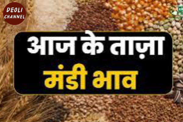 कृषि उपज मंडी में 27 जून को विभिन्न फसलों के भाव कृषि उपज मंडी में 27 जून को विभिन्न फसलों के भाव