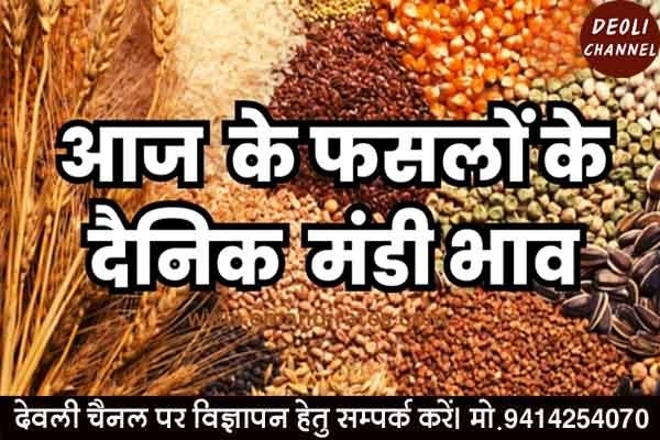 कृषि उपज मंडी में 7 जुलाई को विभिन्न फसलों के भाव 