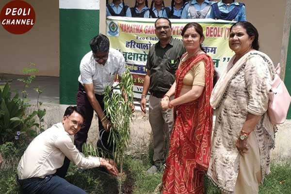 विद्यालय निरीक्षक के दौरान शिक्षा अधिकारियों ने किया वृक्षारोपण
