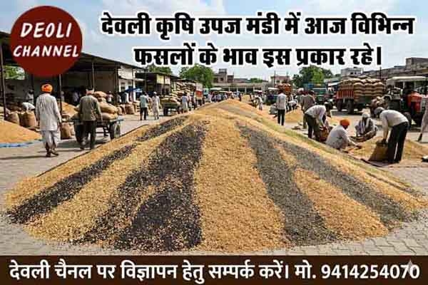 कृषि उपज मंडी में 4 अगस्त को विभिन्न फसलों के भाव