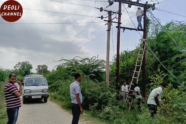 खबर का असर : बिजली विभाग की टीम ने विद्युत पोल के आसपास के बम्बुल काटकर सफाई की